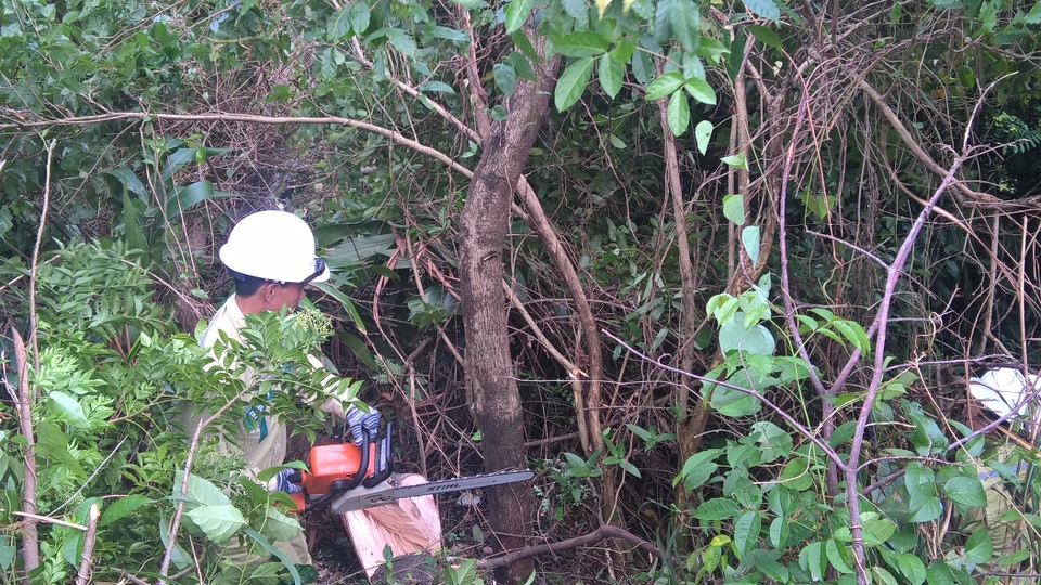 Lên giữa tầng mây để bảo vệ dòng diện xuyên suốt mùa mưa lũ - 5 Ở những cánh rừng thuộc đèo Hải Vân, có rất nhiều ong, loại ong đất, ong bò vẽ độc hại. Việc bị ong đốt là chuyện rất bình thường của những người thợ truyền tải điện.