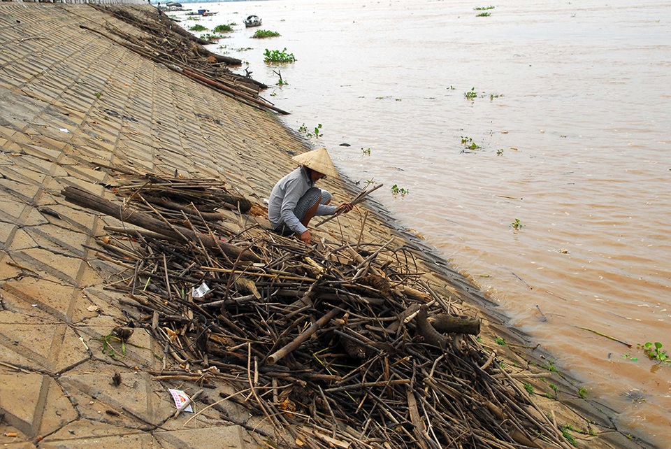 "Nô nức" lao ra giữa dòng lũ vớt củi - 10 "Nô nức" lao ra giữa dòng lũ vớt củi - 10