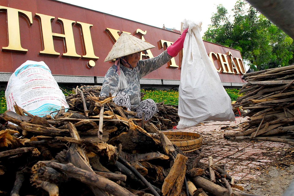 "Nô nức" lao ra giữa dòng lũ vớt củi - 2
Bà Ngô Thị Lớp (63 tuổi) làm nghề mót củi mưu sinh hàng chục năm nay.