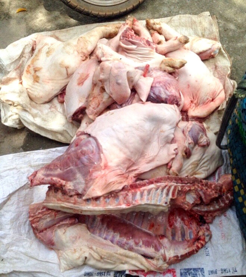 Phát hiện gần 1 tấn heo sữa "bốc mùi" chuẩn bị đưa ra thị trường - 2 Một thùng thịt heo được mở ra kiểm tra, Đoàn kiểm tra ghi nhận số thịt heo này đã bốc mùi, không rõ nguồn gốc.