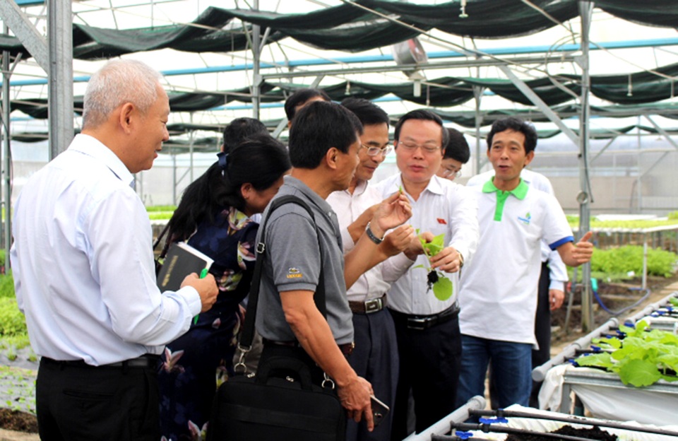 Phó Chủ tịch Quốc hội Phùng Quốc Hiển ăn thử rau sạch ngay tại vườn và mời các thành viên trong đoàn cùng thử.