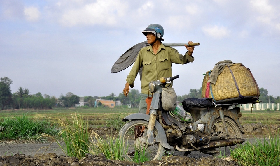 "Thợ săn" cào cào ở ngoại ô Sài thành - 2 Những thợ săn cào cào thường phải chọn địa điểm rất kỹ trước khi hành nghề.