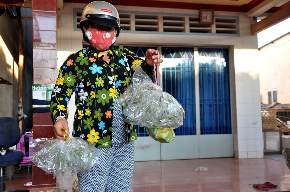 "Thợ săn" cào cào ở ngoại ô Sài thành - 4 Cào cào được đóng thành từng bịch đem đi giao cho các điểm bán trên địa bàn thành phố.