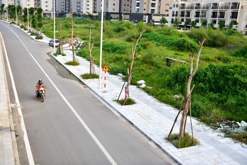 Hà Nội: Cây chết hàng loạt trên đường nghìn tỷ mới khánh thành - 8
Một số người dân trong khu vực cho rằng, cây đã chết thì nên sớm thay thế để đảm bảo an toàn cho người đi đường.
