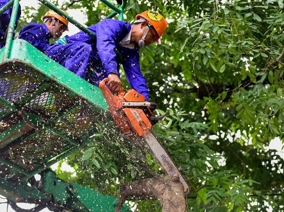 Hà Nội bắt đầu chặt hạ gần 1.300 cây xanh trên đường Phạm Văn Đồng - 5
Thời gian xử lý cây xanh trên đường Phạm Văn Đồng dự kiến sẽ hoàn thành trong 6 tháng.