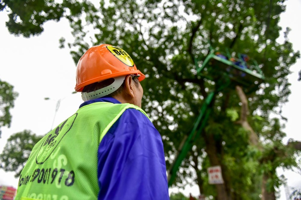 Hà Nội bắt đầu chặt hạ gần 1.300 cây xanh trên đường Phạm Văn Đồng - 6
Việc xử lý cây xanh được giám sát chặt chẽ với tiêu chí cố gắng giữ cây sống để trồng lại ở nơi khác được càng nhiều càng tốt.