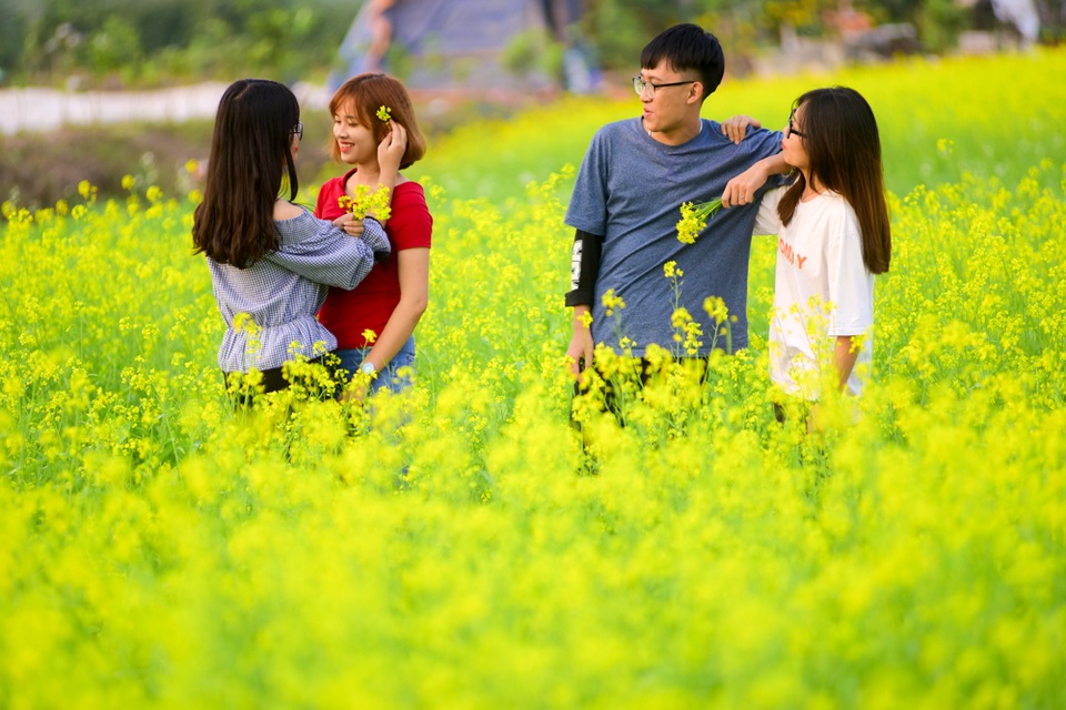 Sau cúc họa mi, giới trẻ Hà thành ngất ngây với hoa cải vàng rực rỡ - 4
Các bạn trẻ đang tranh thủ tạo dáng trên cánh đồng hoa cải lãng mạn, hút tầm mắt. Những bông hoa được cài lên mái tóc làm duyên.