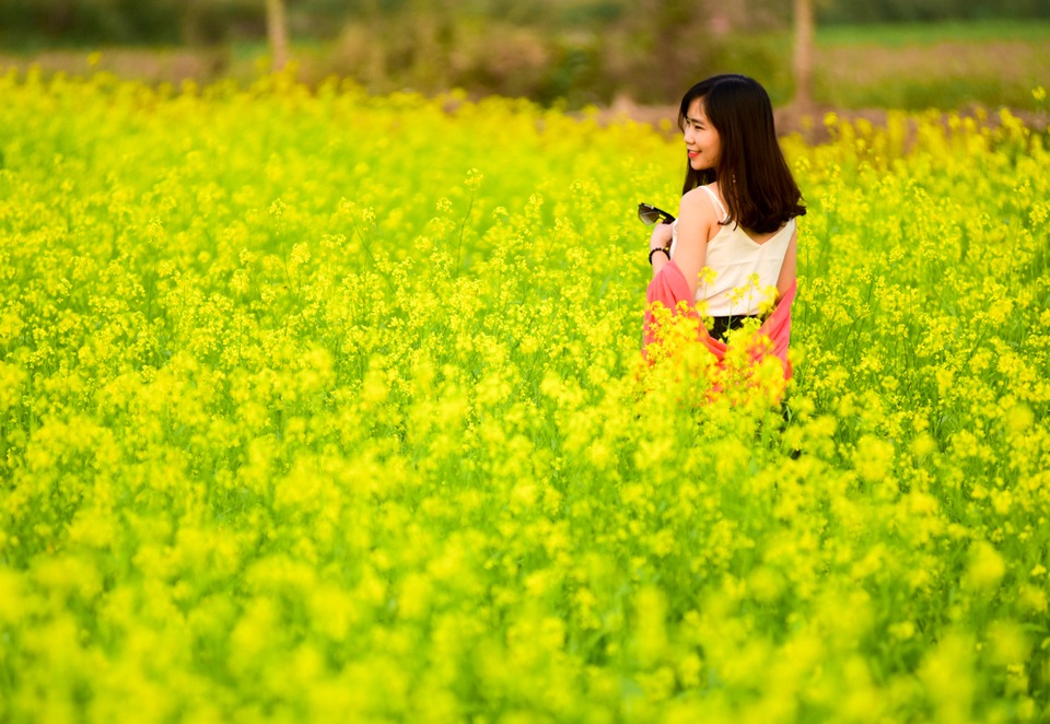 Sau cúc họa mi, giới trẻ Hà thành ngất ngây với hoa cải vàng rực rỡ - 10
Mỗi năm mùa cải chỉ có một lần và một lần chỉ kéo dài trong khoảng 20 ngày ngắn ngủi. Chính vì thế, ai cũng tranh thủ ghi lại những bức hình đẹp nhất làm kỷ niệm.