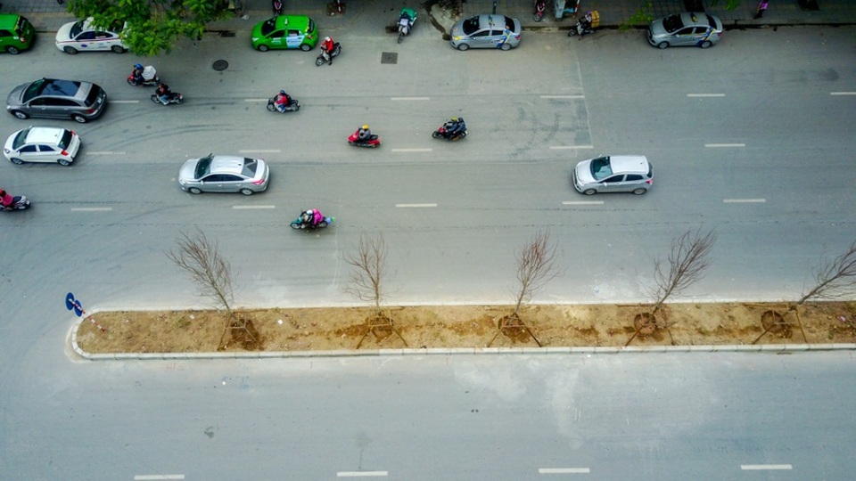 Cây phong lá đỏ lần đầu tiên được trồng trên phố Hà Nội - 3
Trước đó, Chủ tịch UBND TP Hà Nội Nguyễn Đức Chung cho biết khoảng một năm nữa sẽ thấy cây được “nhiệt đới hóa”, phát triển tốt và đem màu sắc châu Âu tới Thủ đô.