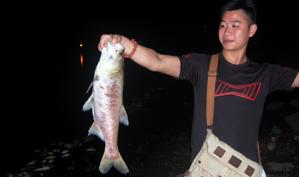 Hà Nội: Cá chết nổi trên hồ Linh Đàm - 2 Anh Chiến với con cá nặng vài kg trôi dạt vào bờ.