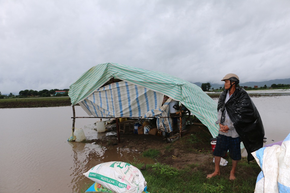 Vì sợ mất những tài sản này mà ông Lên không muốn rời đi