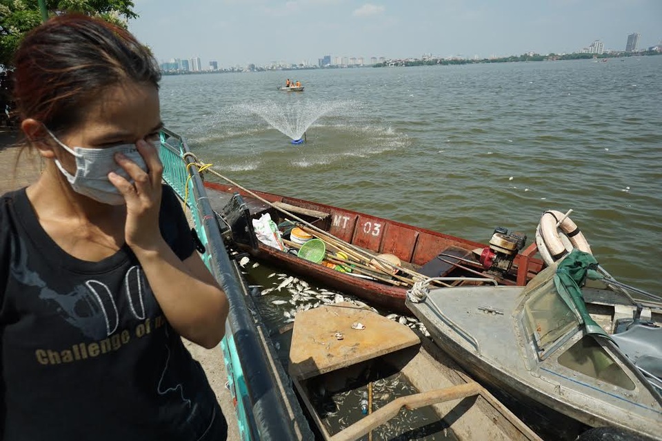 Thủ tướng yêu cầu sớm làm rõ nguyên nhân cá chết ở Hồ Tây - 1
Hàng chục tấn cá chết khiến Hồ Tây bị ô nhiễm nặng (Ảnh: Hữu Nghị)