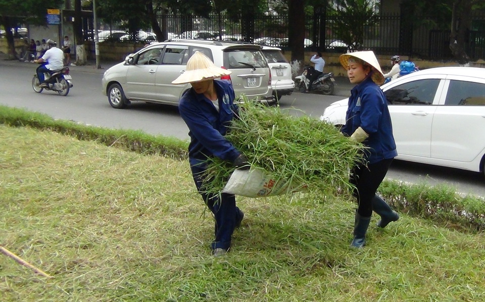 Hà Nội: Công nhân chật vật cắt cỏ dại trên phố - 8