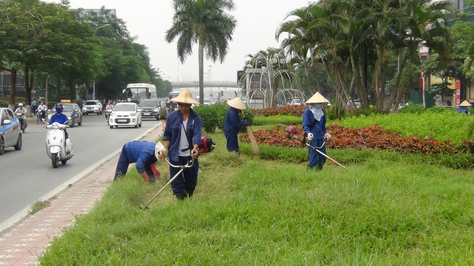 Từ 1/7, Hà Nội tạm dừng cắt cỏ, tỉa hoa trong các tuyến phố