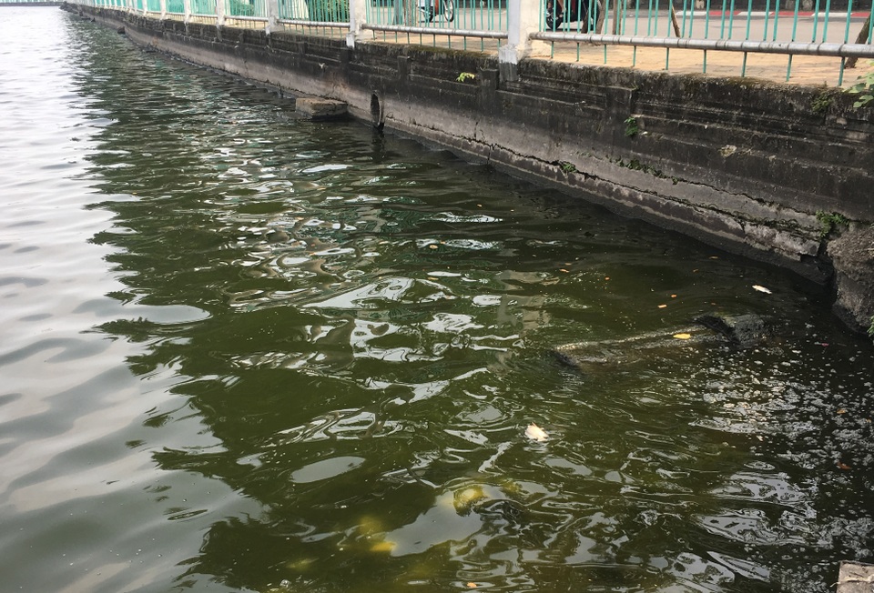 Vẫn còn hàng chục cống xả nước thải xuống Hồ Tây