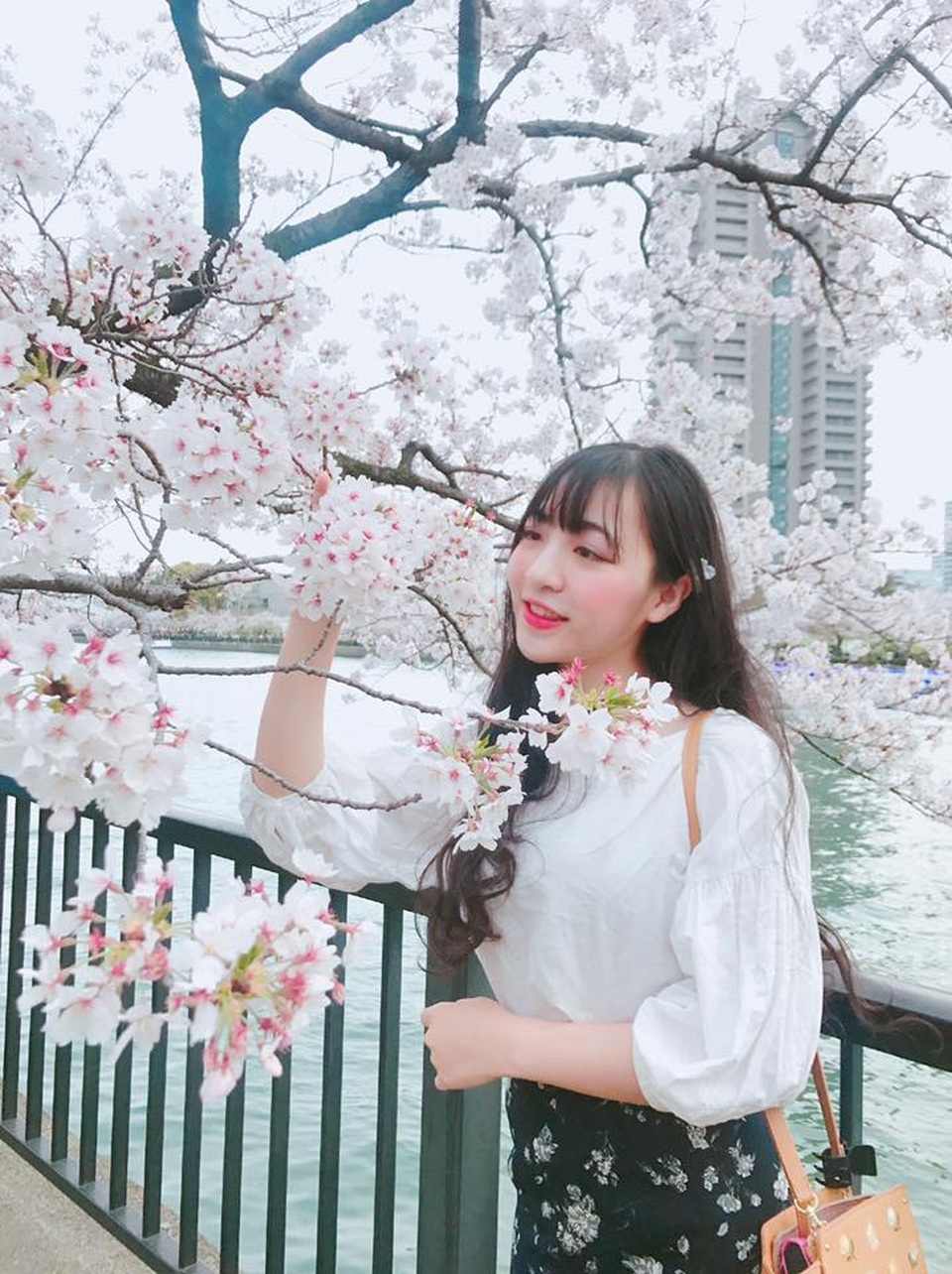Nữ du học sinh Việt tại Nhật khoe sắc trong veo dưới tán anh đào - 5 Nữ du học sinh Việt tại Nhật khoe sắc trong veo dưới tán anh đào - 5