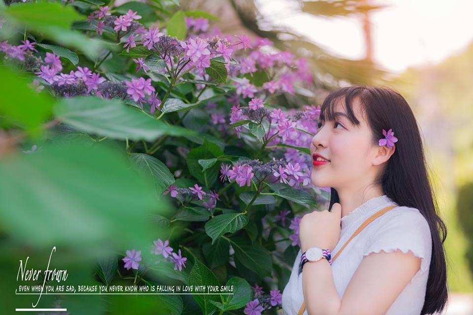 Nữ du học sinh Việt tại Nhật khoe sắc trong veo dưới tán anh đào - 10 Nữ du học sinh Việt tại Nhật khoe sắc trong veo dưới tán anh đào - 10