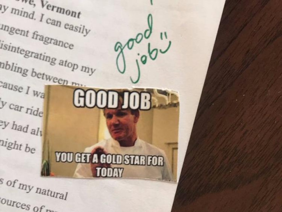 Giáo viên Mỹ chấm điểm bằng “meme” và GIF khiến học sinh vô cùng hứng thú - 2 Một trong những ảnh chế được cô giáo Ainee Fatima dùng để chấm bài.