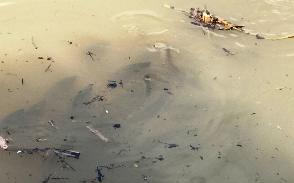 
...nhiều ao cá nuôi sắp thu hoạch của người dân bị nước cuốn trôi gây thiệt hại hàng tỷ đồng.
