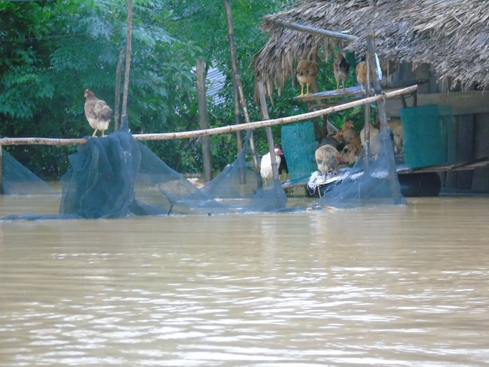 Ám ảnh cảnh chạy lụt ở vùng rốn lũ - 4