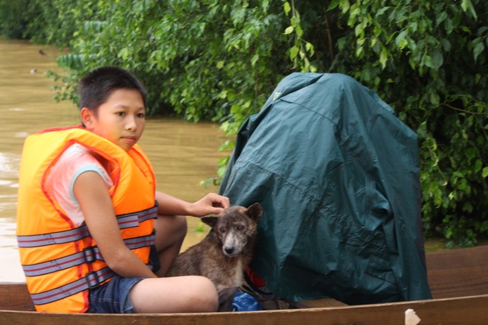 Ám ảnh cảnh chạy lụt ở vùng rốn lũ - 8