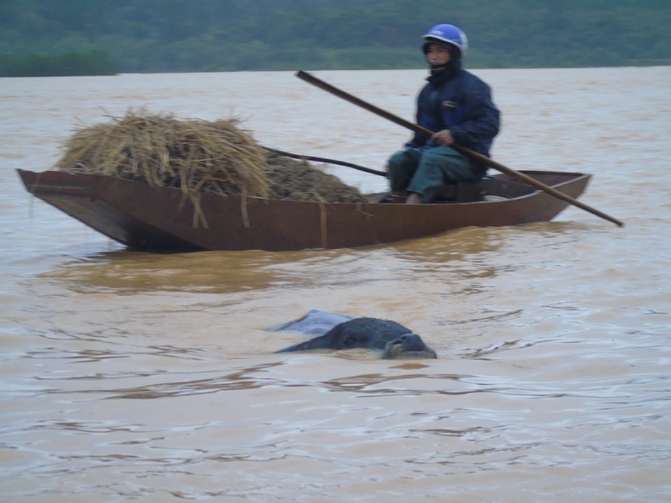 Ám ảnh cảnh chạy lụt ở vùng rốn lũ - 5