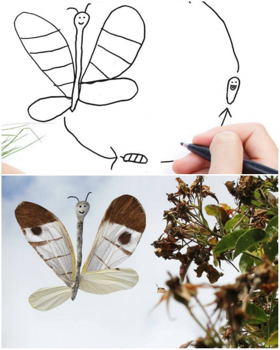 Thú vị những "vật thể lạ" được ảnh hóa từ nét vẽ nguệch ngoạc của con trẻ - 7 Một loài bướm mới được phát hiện?