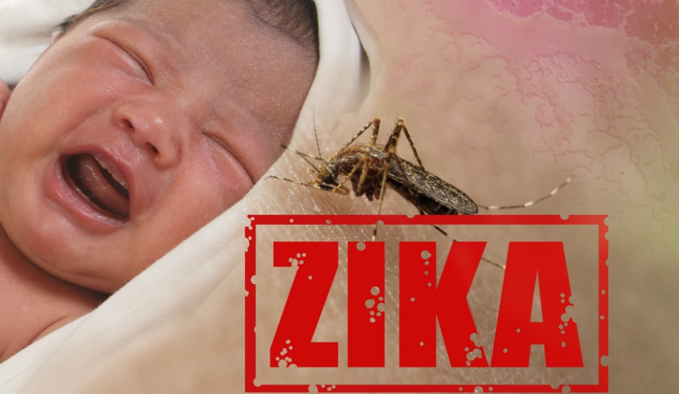 Phổ cập cách phòng ngừa Zika hiệu quả, an toàn - 1 Phổ cập cách phòng ngừa Zika hiệu quả, an toàn - 1