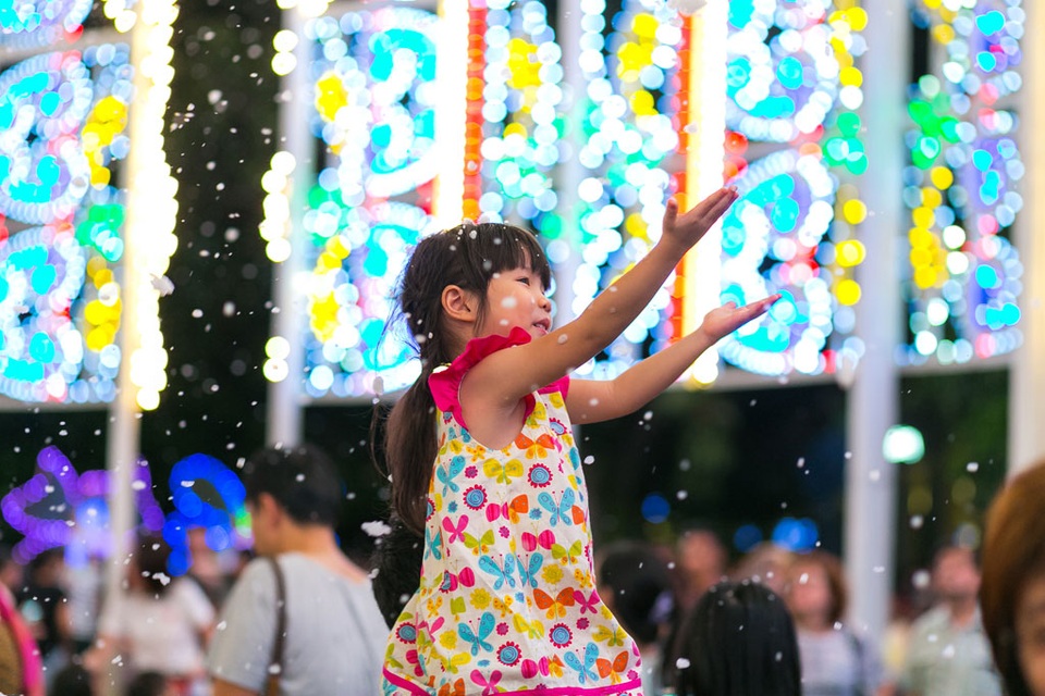 Buổi tối: Đón tuyết rơi giữa những khu vườn ánh sáng khổng lồ với Christmas Wonderland tại Gardens by the Bay. Các bạn cần lưu ý, vé vào cổng chỉ được bán online tại christmaswonderland.sg.