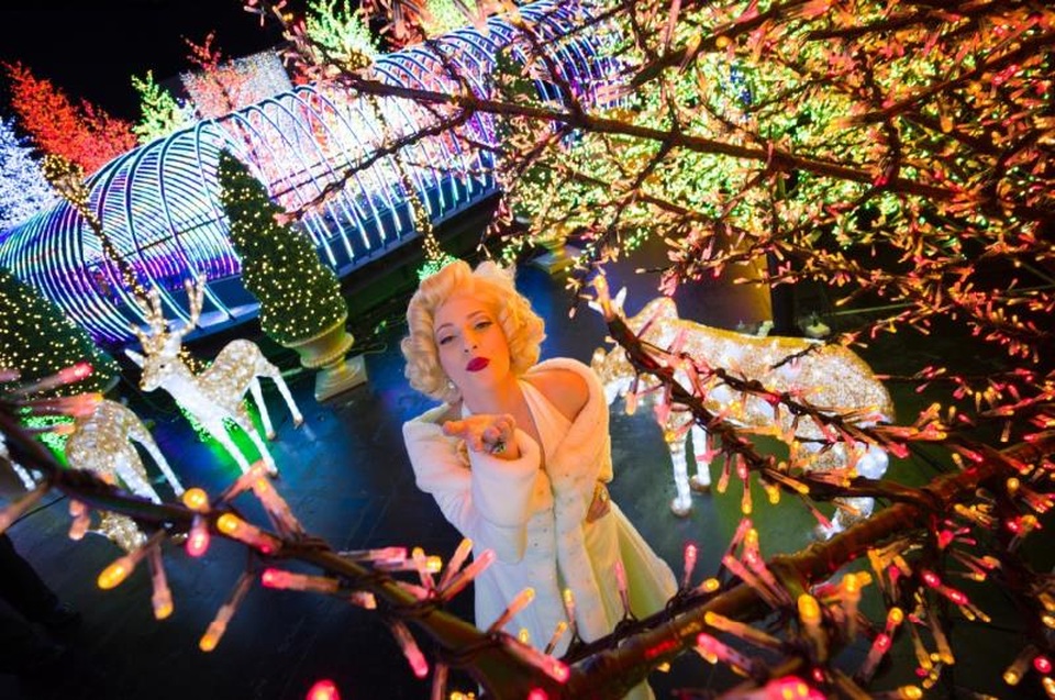 
Buổi chiều: Hòa mình trong thế giới ánh sáng lung linh của Santa’s All - Star Christmas vừa đạt kỷ lục Guinness 2016 tại Universal Studios Singapore và hội ngộ với những nhân vật nổi tiếng trong trang phục đặc biệt mùa Giáng sinh.
