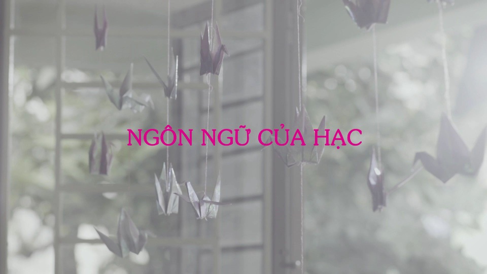 Ngôn ngữ của Hạc - Clip lay động trái tim người xem - 1 Ngôn ngữ của Hạc - Clip lay động trái tim người xem - 1