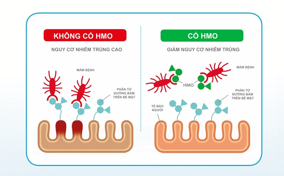 Giúp bé tránh xa táo bón bằng mẹo cực hay của 500 bà mẹ - 2 Giúp bé tránh xa táo bón bằng mẹo cực hay của 500 bà mẹ - 2