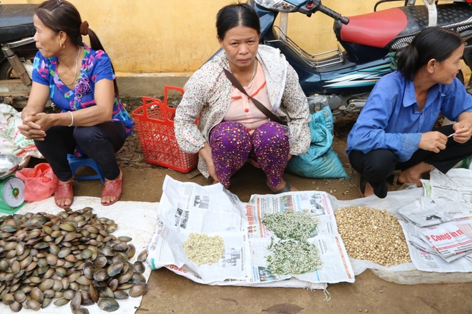 Đến Lạc Sơn, tham dự chợ Ré, chợ Lâm Hóa không dễ bắt gặp những người phụ nữ ngồi chợ bán các loài côn trùng ghê sợ như thế này.