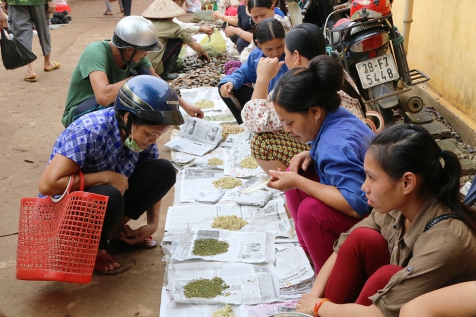 Người bán, người mua các loại côn trùng này chủ yếu ở các xã như: Vũ Lâm, Tân Mỹ, Ân Nghĩa... huyện Lạc Sơn.