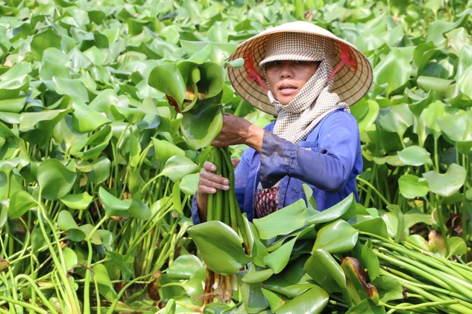 
Những người phụ nữ chuyên làm nghề này chia sẻ, biết là ô nhiễm nhưng vì mưu sinh nên phải chịu cảnh nhọc nhằn. Cũng vì miếng cơm manh áo, mưu sinh cho gia đình nên họ phải hy sinh.
