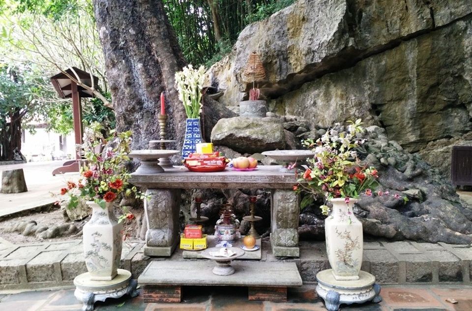 
Theo người trông coi Phủ Khống, vì là cây thị đặc biệt, kỳ lạ lại gắn với lịch sử của Phủ Khống nên dưới gốc cây cũng có một bàn thờ để cho du khách thắp nhang khấn thần cây. Hàng năm quả ra nhiều, du khách xin những quả của cây thị này đem về làm kỷ niệm. Nhiều người dân địa phương thấy lạ cũng nhiều lần lấy hạt thị đem về trồng nhưng không lên cây.
