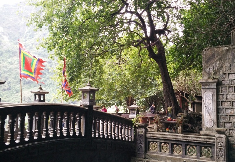 
Theo truyền thuyết, 7 vị quan trung thần triều Đinh đã chết cùng nhau dưới một cây thị hơn 1.000 năm, cây thị này sau đó do già cỗi, bão táp bị gãy và chết. Ngay dưới gốc cây này mọc lên một cây thị con (cây thị hiện nay) đến nay cũng được khoảng 1.000 năm tuổi.
