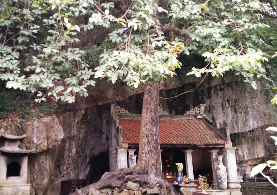 Dưới gốc cây có một đền thờ, vì gắn với lịch sử của triều Đinh nên cây thị rất linh thiêng, hàng năm được nhiều du khách đến tham quan, chiêm ngắm.