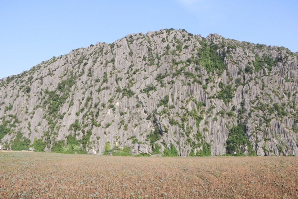 Cảnh sắc hoang sơ tuyệt đẹp ở đầm Vân Long - 3