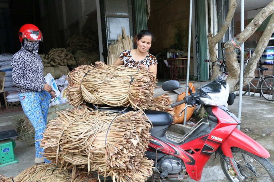 
Những gia đình không có người vớt bèo về làm nguyên liệu được thì phải đi mua, hoặc nhận nguyên liệu từ các đại lý thu mua sản phẩm thủ công mỹ nghệ, sau đó đem về đan hàng, khi có sản phẩm đem đến nhập và nhận tiền công làm mỗi sản phẩm. Tùy thuộc vào từng loại sản phẩm mà có giá khác nhau. Những người làm nghề đan bèo tây có kinh nghiệm cho hay, mỗi ngày họ cũng đan được 4 - 5 sản phẩm, trừ chi phí cũng được trên dưới 1 triệu đồng.
