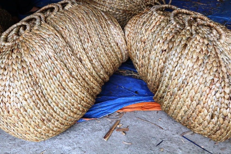 Ở Việt Nam hiện nay, nhiều gia đình cũng đang dần trở lại sử dụng cá sản phẩm thủ công để thay thế cho các loại túi nilong. Các loại túi nilong khi thải ra môi trường phải mất cả trăm năm mới phân hủy hết được, còn các sản phẩm từ thân cây tự nhiên chỉ cần mất một thời gian ngắn vì vậy rất thân thiện với môi trường.