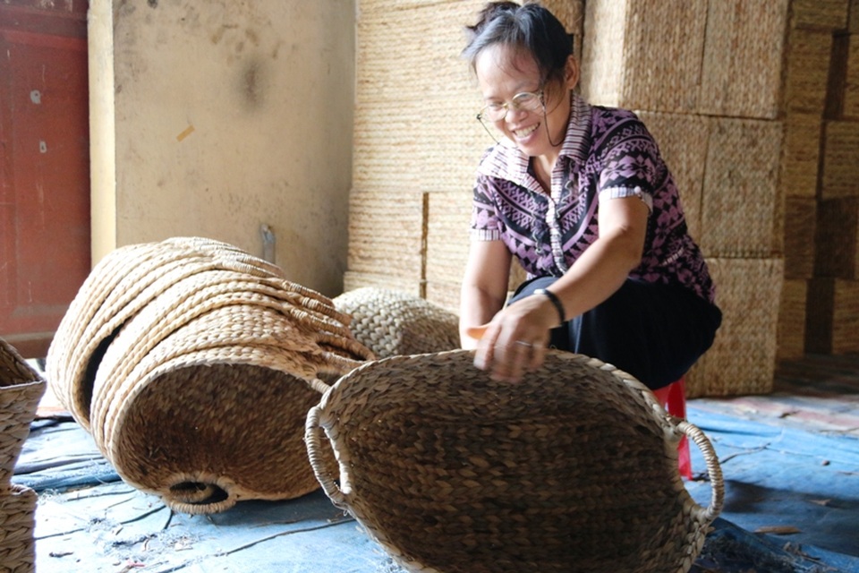 Nghề đan các sản phẩm thủ công mỹ nghệ bằng thân cây bèo tây (lục bình) xuất hiện ở huyện Kim Sơn (Ninh Bình) khoảng hơn 10 năm nay. Khi nghề dệt chiếu cói cũng như các mặt hàng từ cói dần mai một, người dân huyện vùng biển này tìm hướng đi mới để duy trì nghề truyền thống hàng trăm năm nay này.