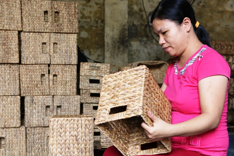 Mỗi ngày, một thợ lành nghề đan bèo tây cũng kiếm được số tiền từ 200 - 500 nghìn đồng. Những người làm siêng năng làm việc cả vào buối tối, thu nhập còn cao hơn nhiều, bình quân từ 500 đến hơn 1 triệu đồng. Nghề làm nhẹ nhàng này những năm qua giúp người nông dân tại Ninh Bình có thêm thu nhập cao mỗi tháng.