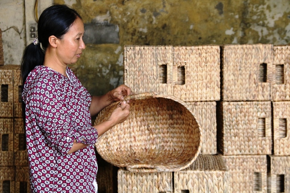 Làm nghề đan bèo tây xuất ngoại nhiều nhất ở Kim Sơn chủ yếu ở các xã như: Quang Thiện, Kim Chính, Đồng Hướng, Như Hòa, Ân Hòa... đây đều là những địa phương có thâm niên trong nghề đan sản phẩm thủ công mỹ nghệ từ cây cói.