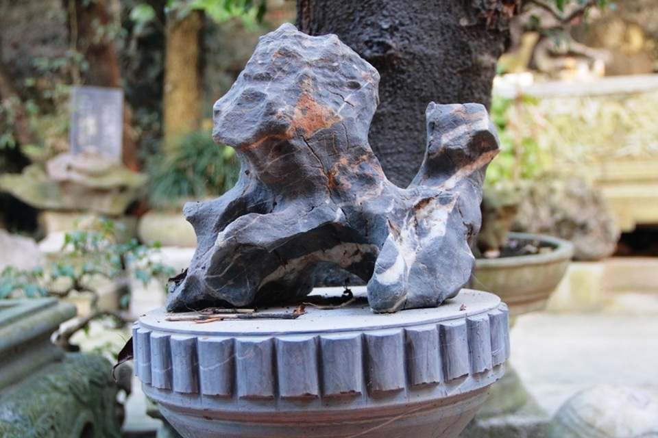 
Là nghệ nhân sinh vật cảnh có tiếng ở Ninh Bình, đến nay bộ sưu tập đá cảnh của cụ Lương có đến cả trăm hòn, tảng đá độc đáo. Nhiều tác phẩm nghệ thuật của cụ Lương từng tham gia các triển lãm, hội chợ trong và ngoài tỉnh được giải cao và nhận được nhiều bằng khen thưởng. Trong ảnh là hòn đá có hình dáng con sư tử được cụ Lương sưu tầm và cất giữ 10 năm nay.
