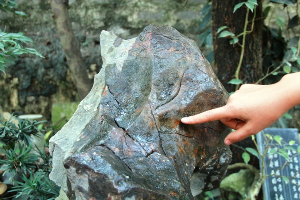 Một hòn đá trong bộ sưu tập của cụ Lương sau khi dội nước vào hiện lên các màu sắc óng ánh rất kỳ lạ.