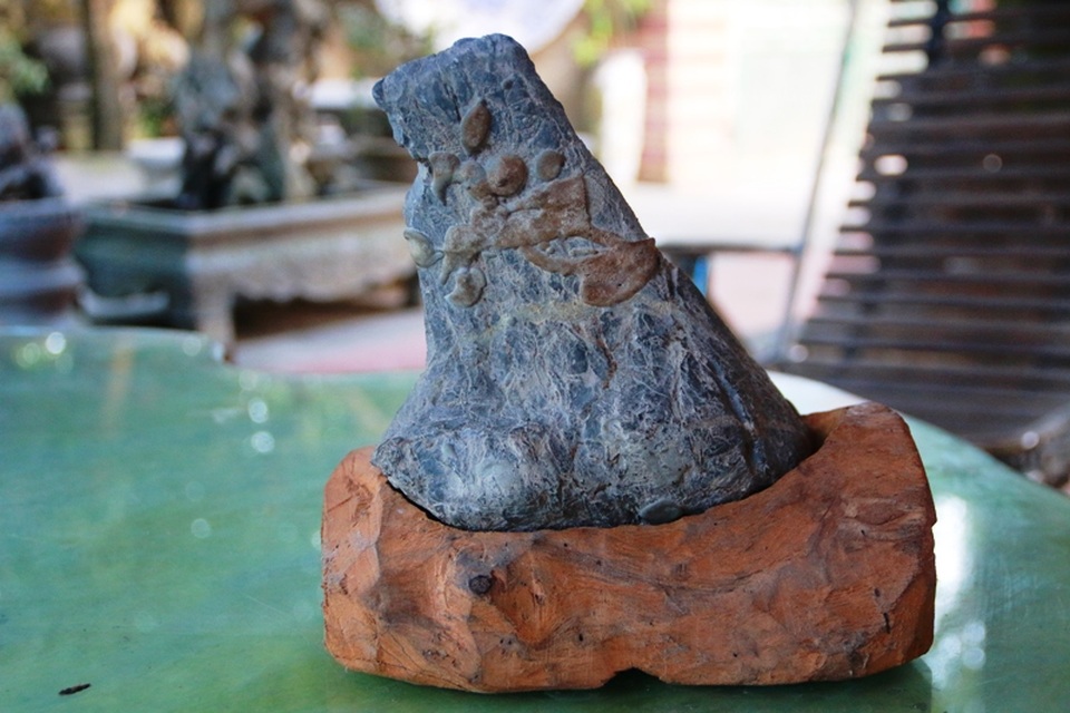 
Hầu hết, các tác phẩm đá cảnh của cụ Lương sưu tầm đều lá độc thạch, những hòn đá này do thiên nhiên tạo ra, chưa qua bàn tay của con người và chúng có sự trùng lặp rất giống với một vật thể nào đó trong đời sống. Trong ảnh là một hòn đá giống hình bàn tay đang khép lại, bên trên có nhiều nút sần sùi, cụ Lương gọi đây là tác phẩm bàn tay tài hoa.
