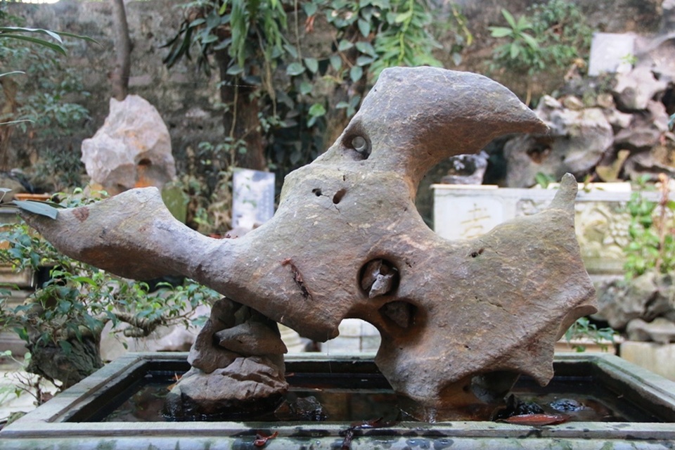 Hòn đá hình con chim đang vươn cánh bay trên mặt nước. Để người xem dễ nhìn và dễ hiểu đối với hòn đá này, cụ Lương đặt nó trên một chiếc bể hình vuông, sau đó cho nước vào bể và đặt hòn đá lên trên.