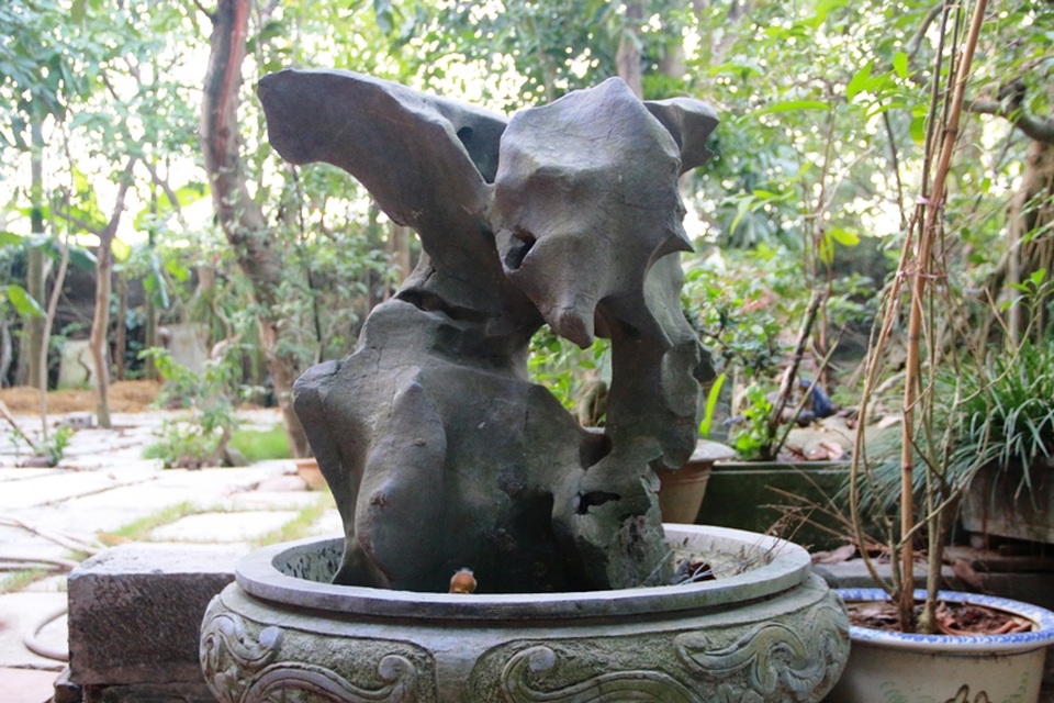 Những khối đá tưởng như vô tri vô giác vứt bỏ đi, nhưng qua đôi mắt và bàn tay tài hoa của nghệ nhân làng đá Ninh Vân Nguyễn Xuân Lương lại trở thành những tác phẩm nghệ thuật có hồn, căng tràn sự sống với những cái tên rất sinh động.