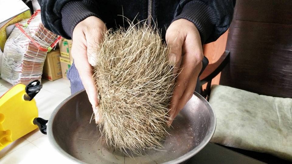 Người dân mổ lợn bán phát hiện “cát lợn” quý hiếm? - 5 Anh Hùng cho hay, gia đình sẽ giữ vật này khi nào được giá phù hợp mới bán.